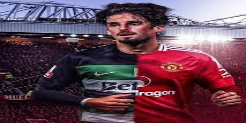 未来发展建议：如何成为世界级铁腰  -九游娱乐