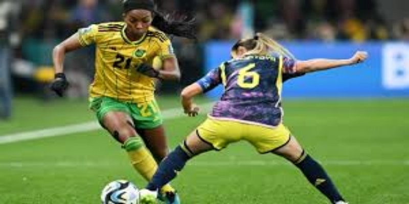 完整名单概览 -九游娱乐